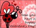 valentine, valentine's day, flowers, ladybug, heart, pink, love, friend, romance, beloved, xoxo