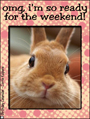 weekend, so ready, ready, bunny,