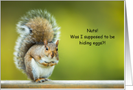 Grey Squirrel Easter...