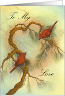 love birds/valentine