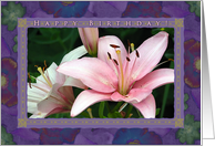 Pink Birthday Lilies