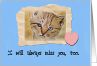 Miss You Sad Kitty...