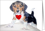 Valentine Beagle