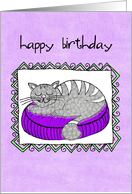 cat birthday