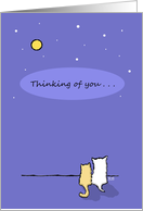 Thinking of You Cat...
