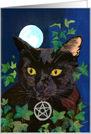 The Witch's Cat,...