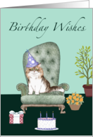 Cat in birthday hat,...