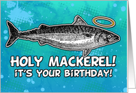 Holy Mackerel - It's...