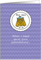 Appendectomy - Owl -...