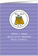 Retina Surgery - Owl...