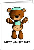 Injury - Scrub Bear ...