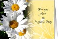 Mom Mother's Day...