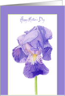 Purple Iris Mother's...