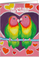 Love Birds Wedding...