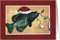 Crappie Holidays