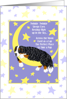 Bernese Mountain Dog Puppy Announcement card