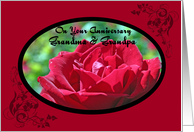 Red Rose Grandma &...