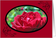 Red Rose Your 7th...