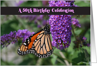 Butterfly 50th...