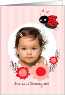 Little Lady Bug with...