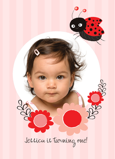 Little Lady Bug with...