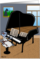 Piano Cat Recital...