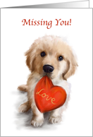 Missing You Cute Dog...