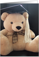 Graduation Cap Bear