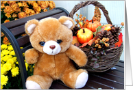 Happy Harvest Bear