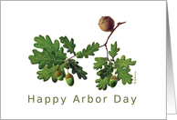 Happy Arbor Day...