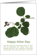 Happy Arbor Day...
