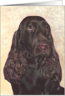 Field Spaniel Dog Painting card