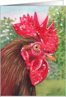 Rooster Painting -...