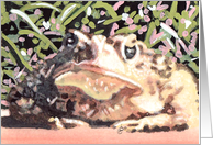Bull Frog Painting...