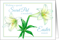 Happy Easter Secret...