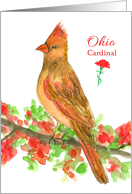 State Bird of Ohio...