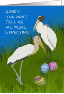 Easter Wood Storks,...