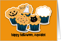 Halloween Cupcakes...