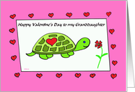 Turtle Love for my...