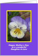 Mother's Day Pansy -...