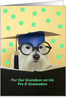 Pre K Graduate Dog -...