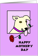 Mothers Day Card...