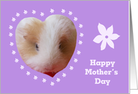 Mothers Day from Pet...