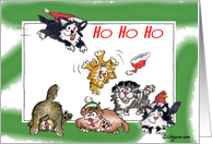 Ho Ho Holidays Cats