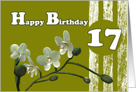 Happy 17th Birthday,...