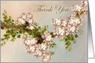Thank You ~ Fruit Tree Blossoms card