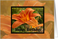 Orange Flower Bday