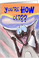 Siamese Cat Birthday...