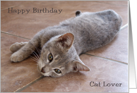 Happy Birthday Cat...