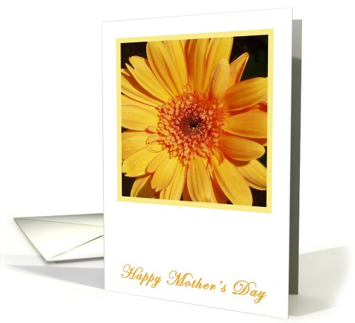 Gerbera Happy Mother's Day card (411341)
